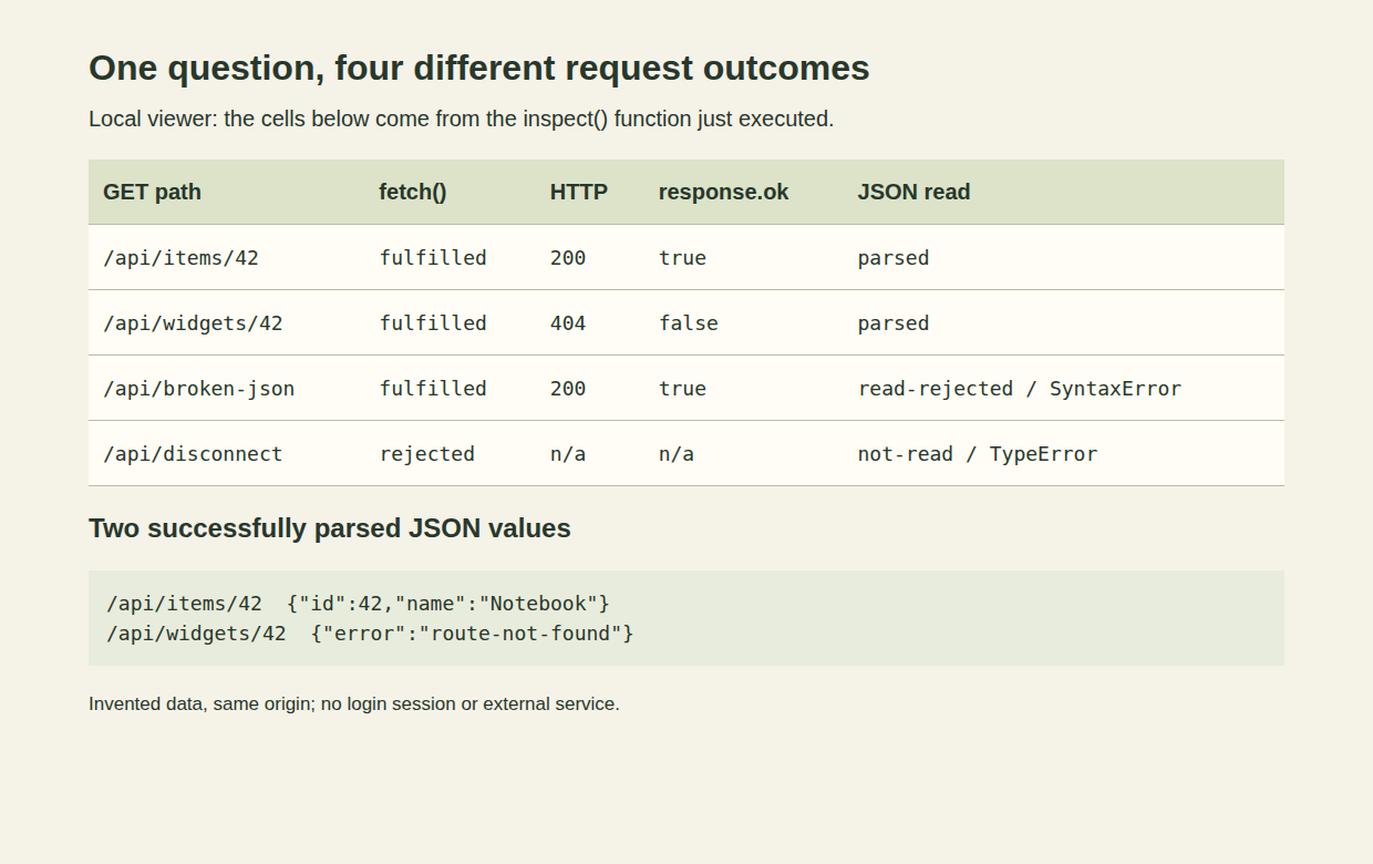 A local browser viewer displays four executed request results: valid JSON with 200, valid error JSON with 404, a rejected JSON read after 200 and a rejected fetch without an HTTP status.