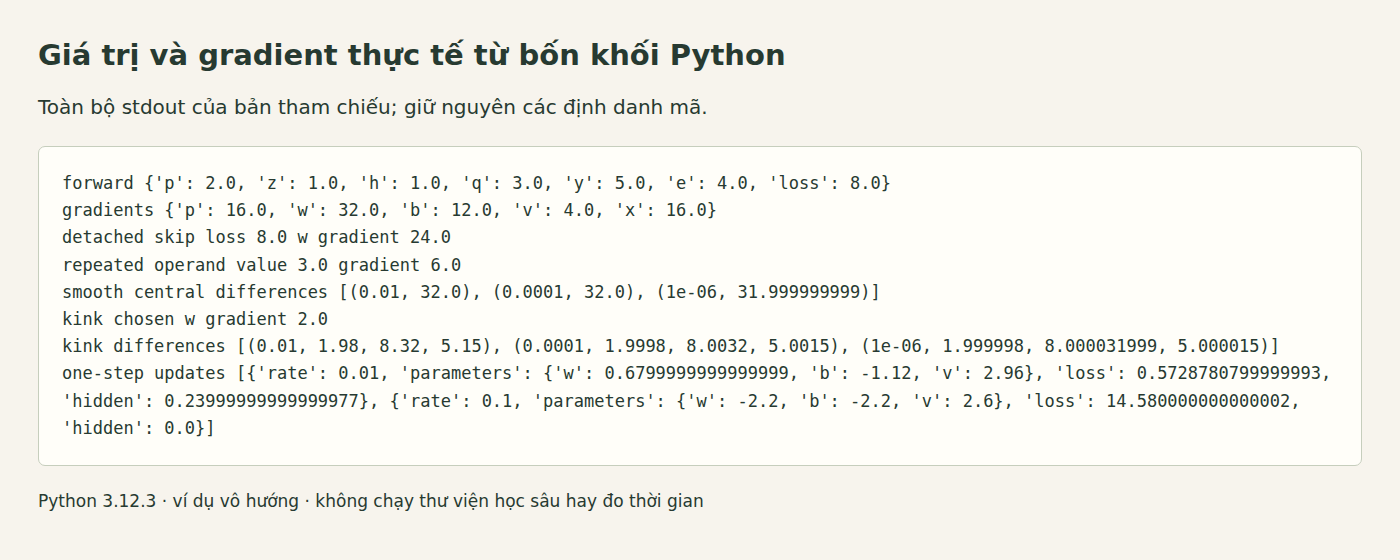 Đầu ra Python thực tế cho giá trị xuôi, gradient cộng dồn, nhánh bị tách, sai phân hữu hạn và hai bước cập nhật thử